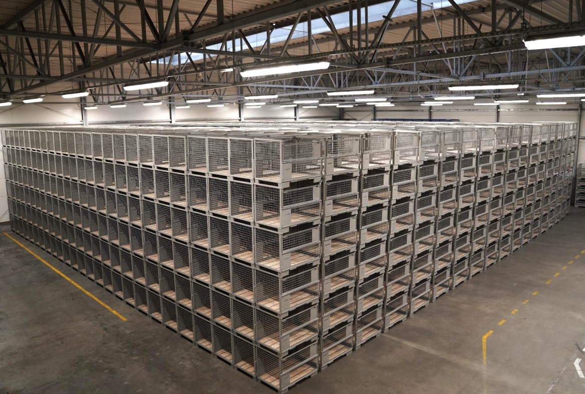 dużo pojemników siatkowych na magazynie DAJANO